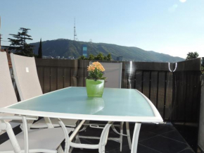Apartment on Nikoloz Gotsitidze str 22